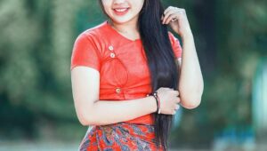 သိုးယောင်ဆောင်သောကျား