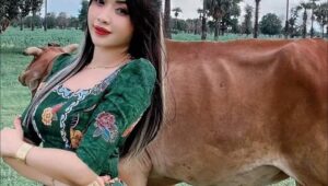 ဖြစ်ပါ့မလား မောင်