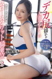 DLDSS-313